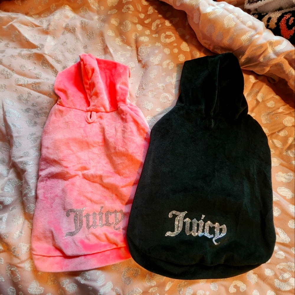 Juicy couture dog outfit